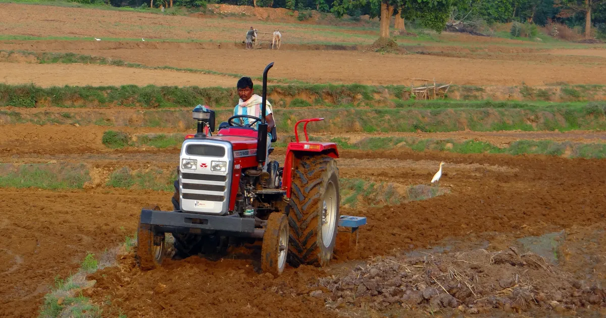 A farmer driving a red tractor to plough a brown field, with a man and bullocks working in the background