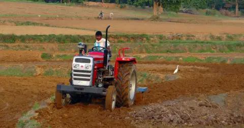 A farmer driving a red tractor to plough a brown field, with a man and bullocks working in the background